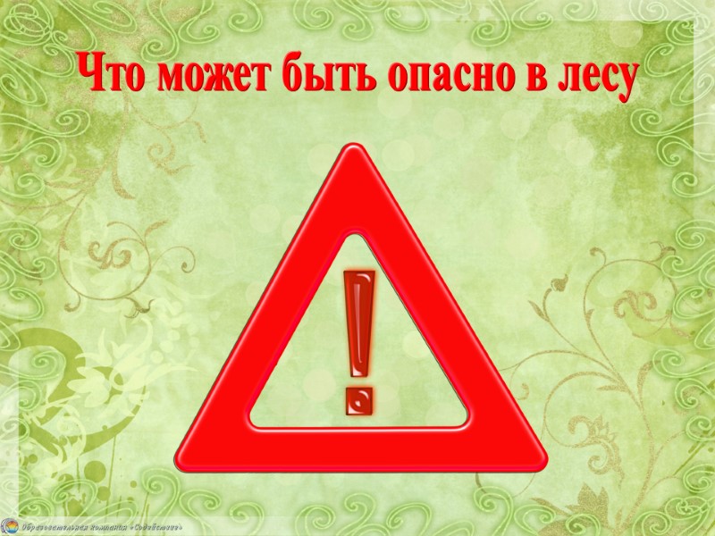 Что может быть опасно в лесу